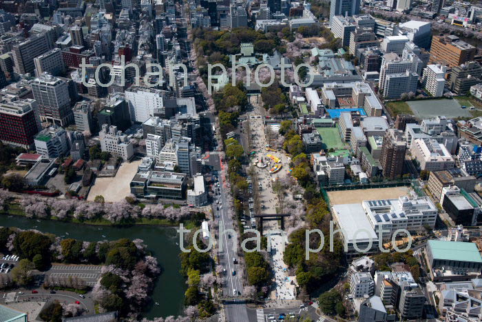 桜満開の靖国神社周辺(2019/4)