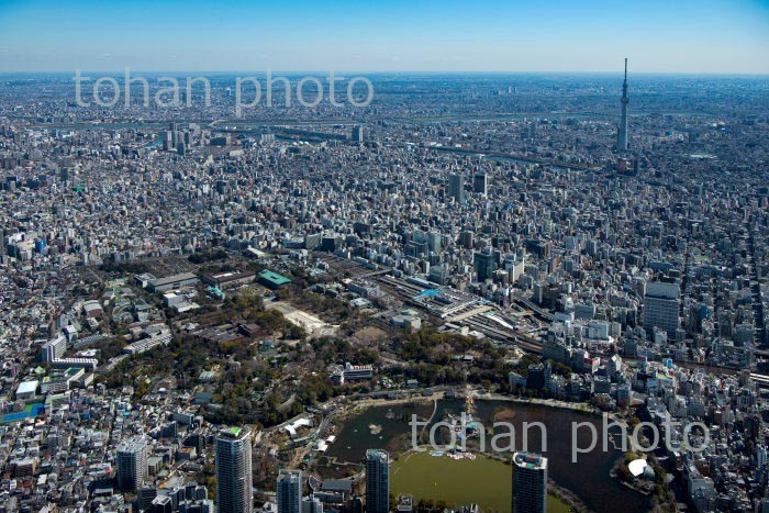 満開の桜の上野恩賜公園と上野駅周辺より浅草方面(2020/3)