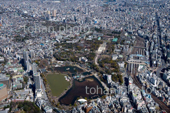 満開の桜の上野恩賜公園と上野駅周辺(2020/3)