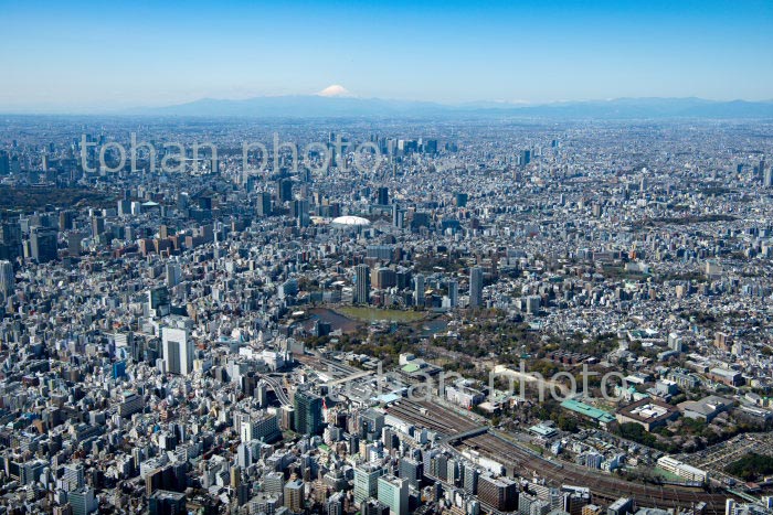 満開の桜の上野恩賜公園と上野駅周辺より東京の街並みと富士山(2020/3)