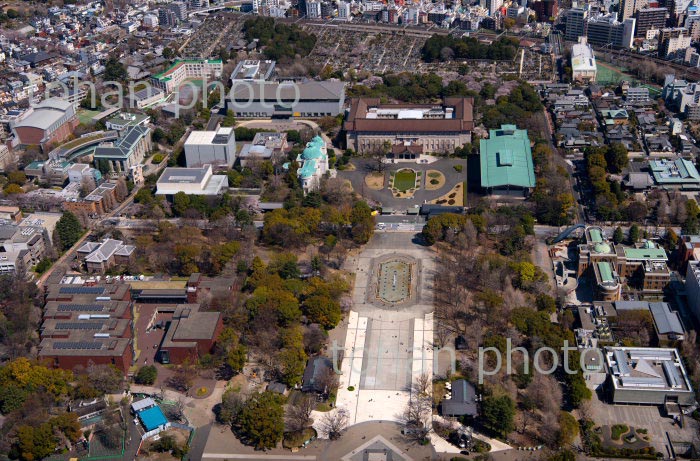 上野恩賜公園(竹の台広場より)東京国立博物館周辺(2020/3)