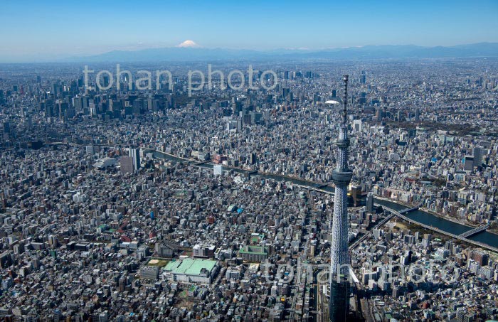 東京スカイツリーより東京の街並みと富士山(2020/3)