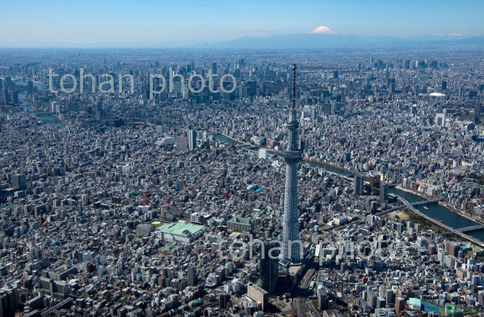 東京スカイツリーより東京の街並みと富士山(2020/3)