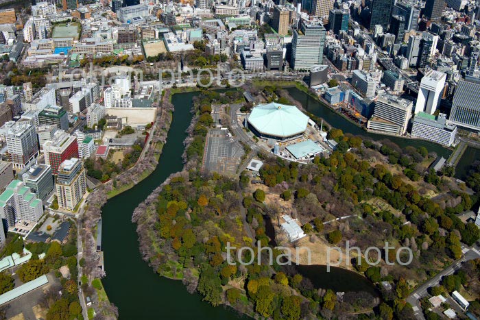 日本武道館と北の丸公園(2020/3)