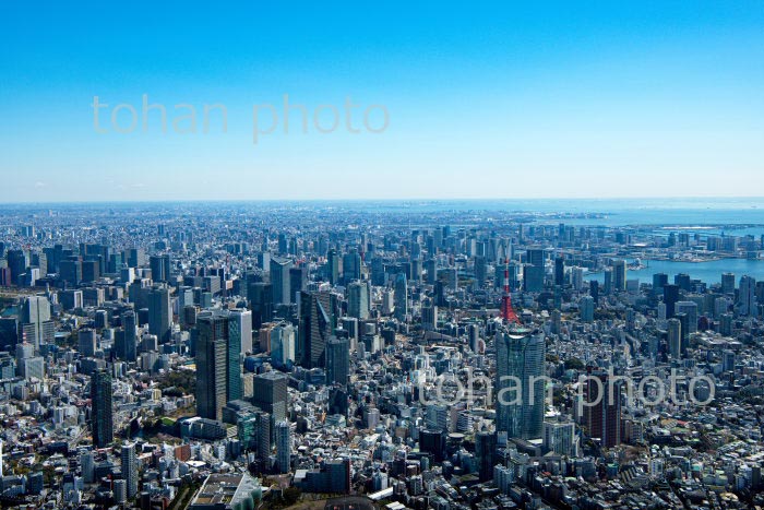 麻布,六本木周辺より東京の街並み(2020/3)