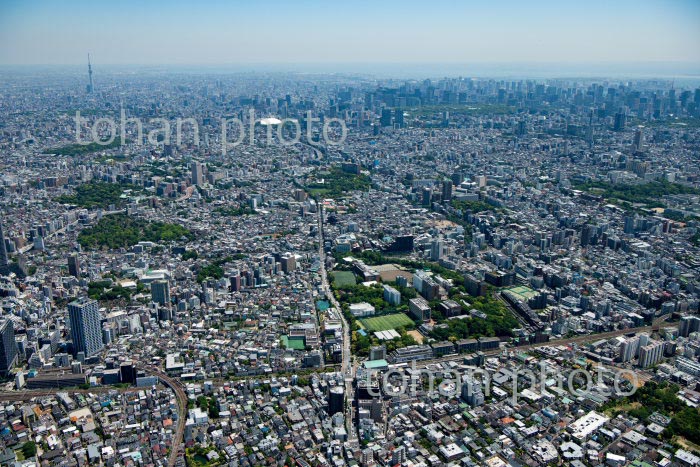 目白駅周辺より東京の街並み(2020/5)