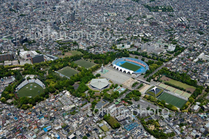 駒沢オリンピック公園(2020/5)