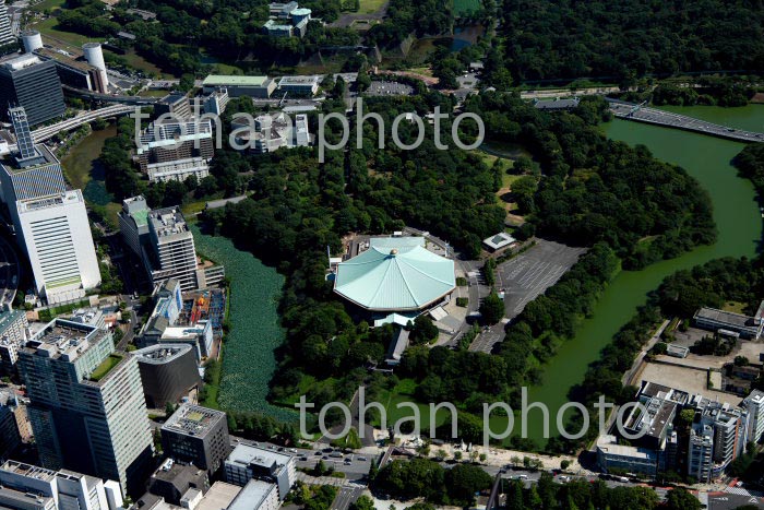 日本武道館と北の丸公園周辺(2020/8)