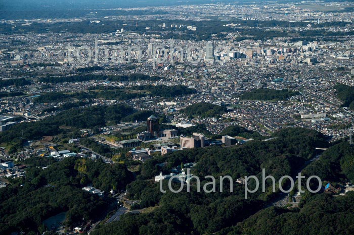 東京工科大学 ,日本工学院八王子専門学校周辺より八王子駅方面(2020/10)