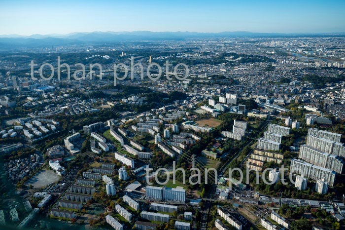 多摩ニュータウン(永山,諏訪地区より永山駅方面)(2020/11)