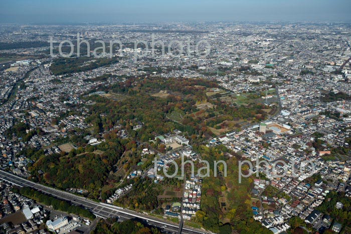 神代植物公園周辺(2020/11)