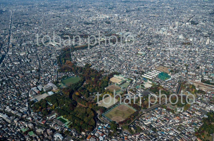 東京都立和田堀公園と善福寺川より荻窪駅方面(2020/11)