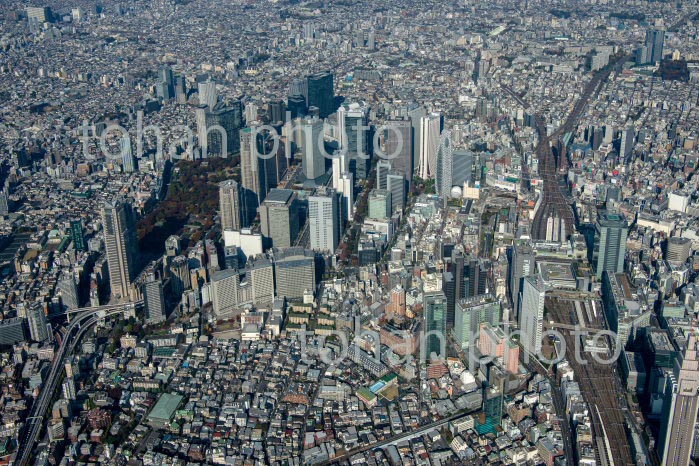 新宿駅と西口高層ビル群周辺(2020/11)