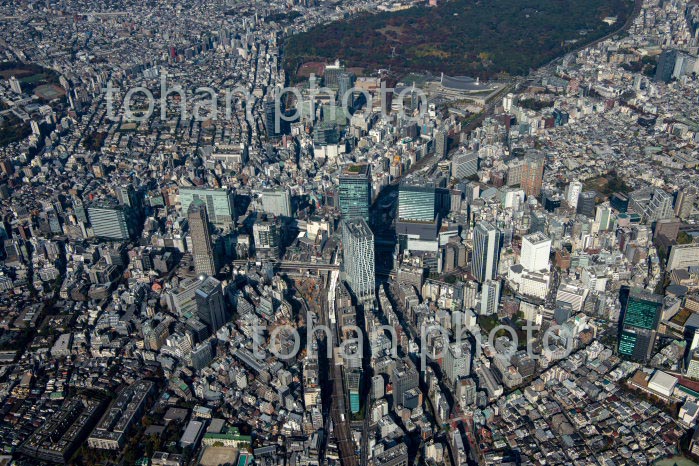 渋谷駅周辺(2020/11)