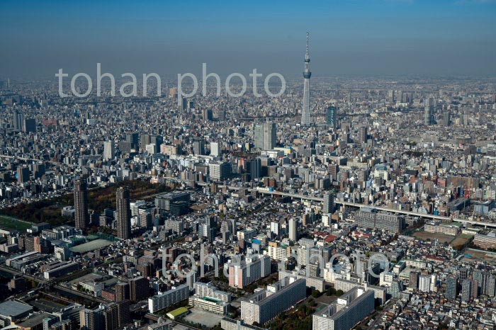 大島周辺より東京スカイツリー方面(2020/11)