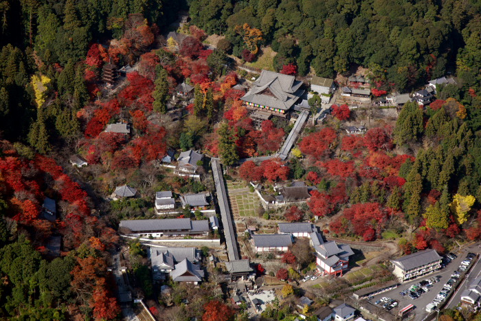 奈良県(長谷寺)