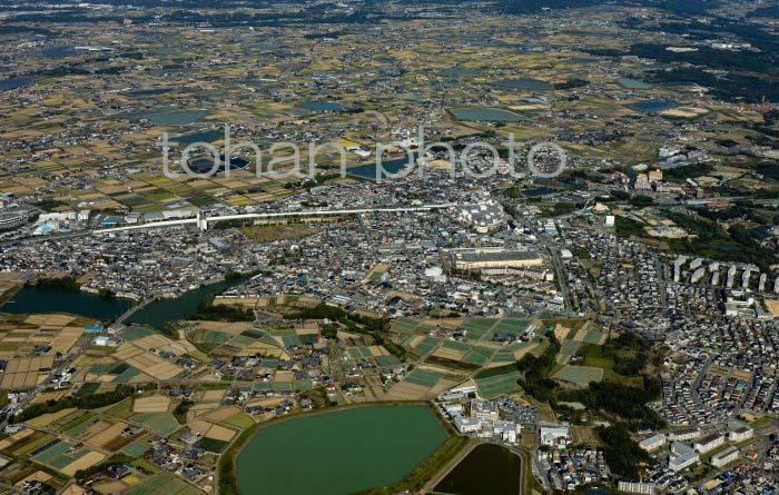 溜池と畑の町(竜が岡,岩岡町地区周辺)(20231018)