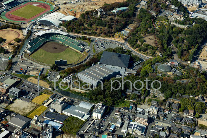 手柄山中央公園(姫路市立水族館,手柄山温室植物園)周辺(20231018)