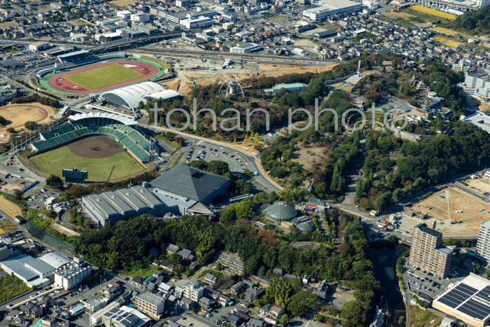 手柄山中央公園(姫路市立水族館,手柄山温室植物園)周辺(20231018)