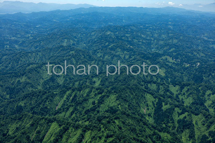 東頸城丘陵(赤谷城山周辺より権現山方面)