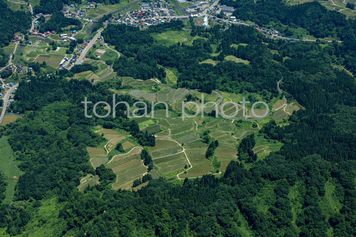 上越市大島周辺の棚田の風景