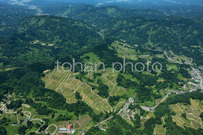 上越市大島周辺の棚田の風景