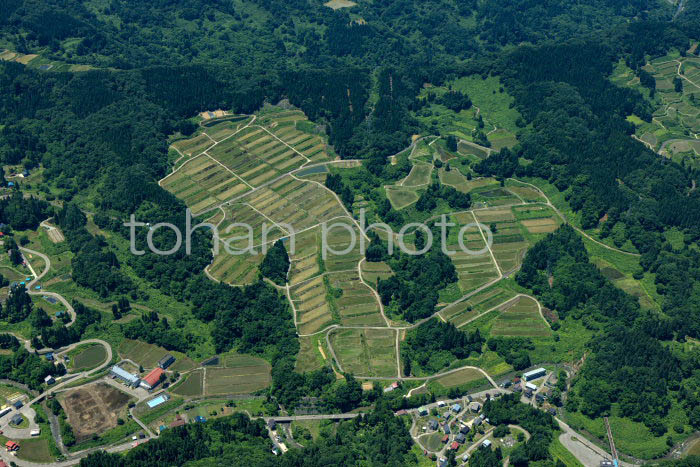 上越市大島周辺の棚田の風景