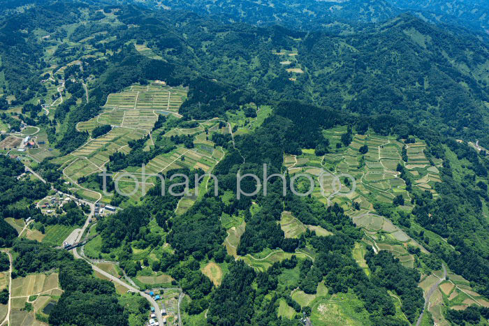 上越市大島周辺の棚田の風景