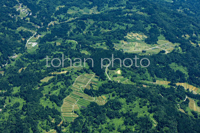 上越市安塚区周辺の棚田の風景