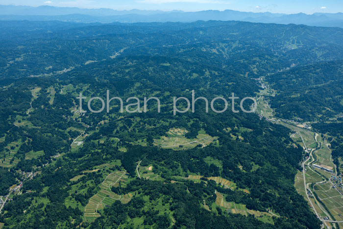 上越市安塚区周辺の棚田の風景