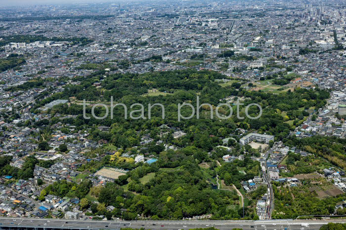 深大寺,神代植物公園周辺(202354)