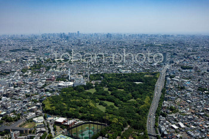 砧公園より東京の街並み(202354)