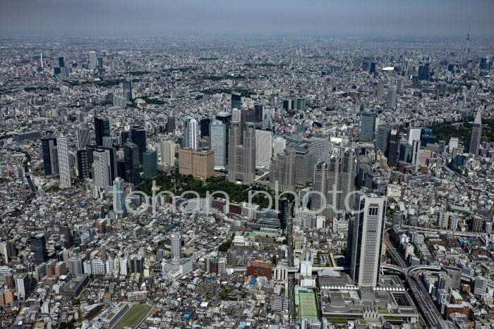 渋谷区本町周辺より西新宿ビル群,新宿駅(202354)