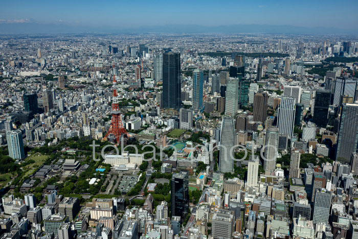 芝公園,増上寺,御成門,周辺より東京の街並み(2023617)