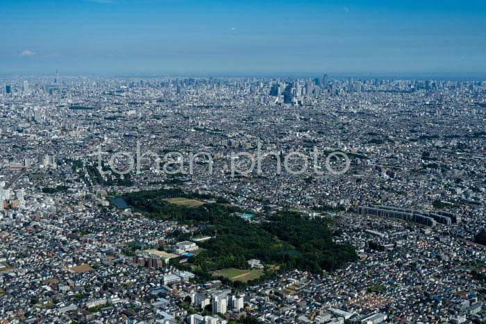 石神井公園周辺より東京の街並み(2023728)