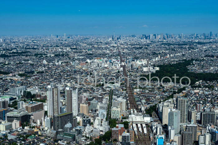 三鷹駅周辺より東京の街並み(202391)