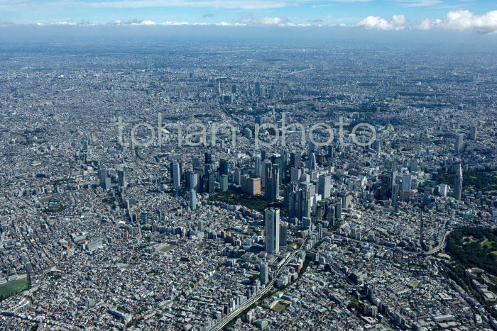 初台付近より新宿ビル群,新宿駅と東京の街並み(202391)