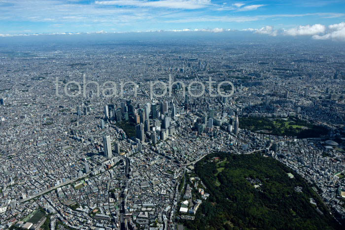 代々木公園,参宮橋駅周辺より新宿ビル群,新宿駅と東京の街並み(202391)