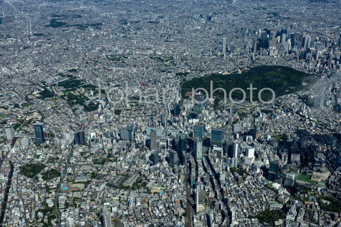 渋谷駅周辺より新宿方面の東京の街並み(202391)