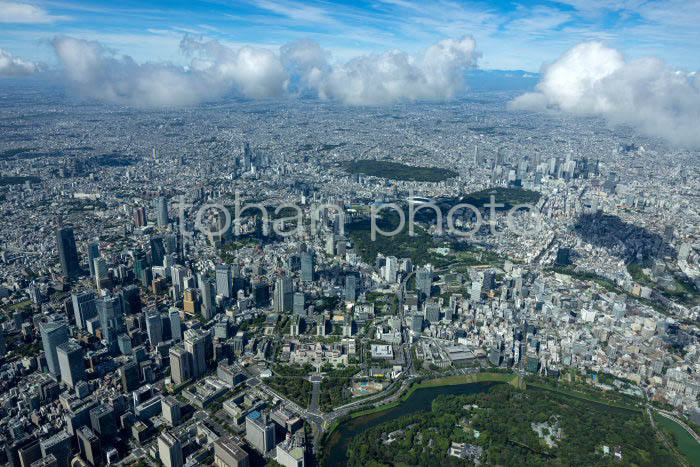 国会議事堂周辺より渋谷,新宿方面の街並み(202391)