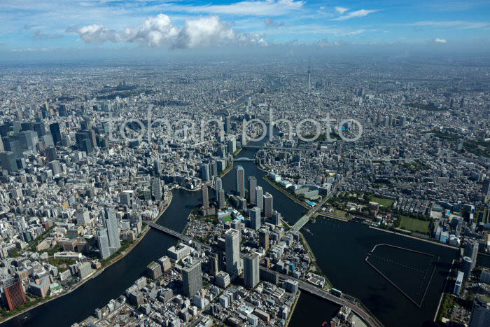 隅田川(月島,佃周辺より上流方面)(202391)