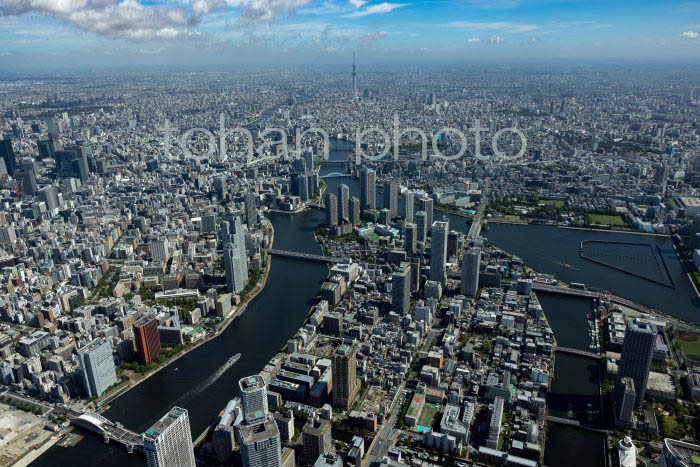 隅田川(月島,佃周辺より上流方面)(202391)