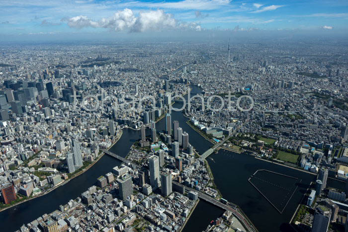 隅田川(月島,佃周辺より上流方面)(202391)