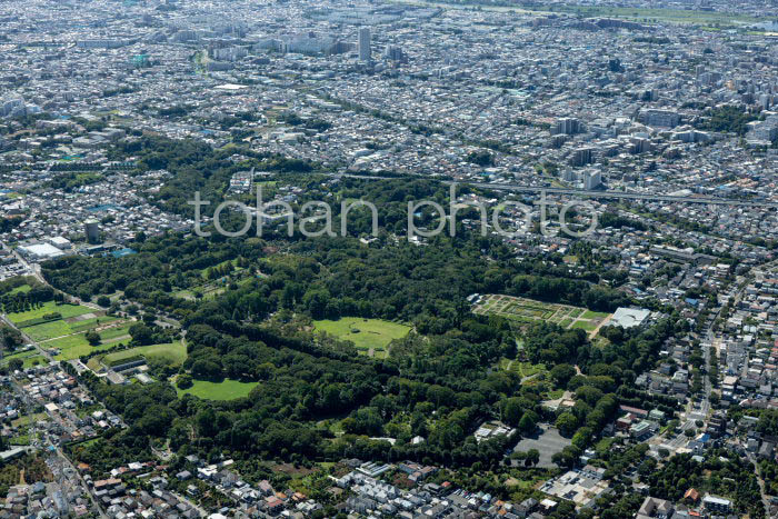 神代植物公園周辺(202391)