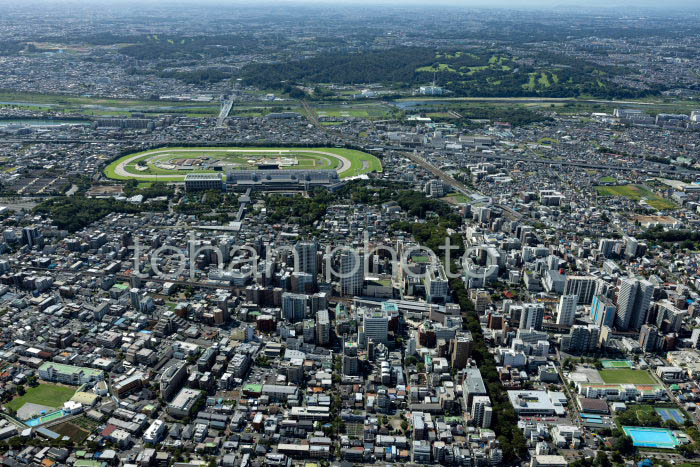 府中駅と府中の街並み(202391)