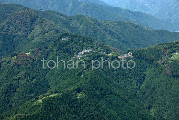 御岳山山頂周辺(202391)