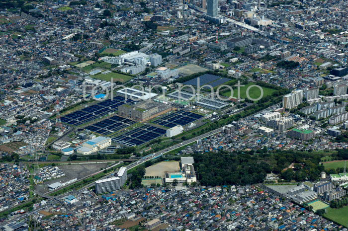 東村山浄水場周辺(202391)