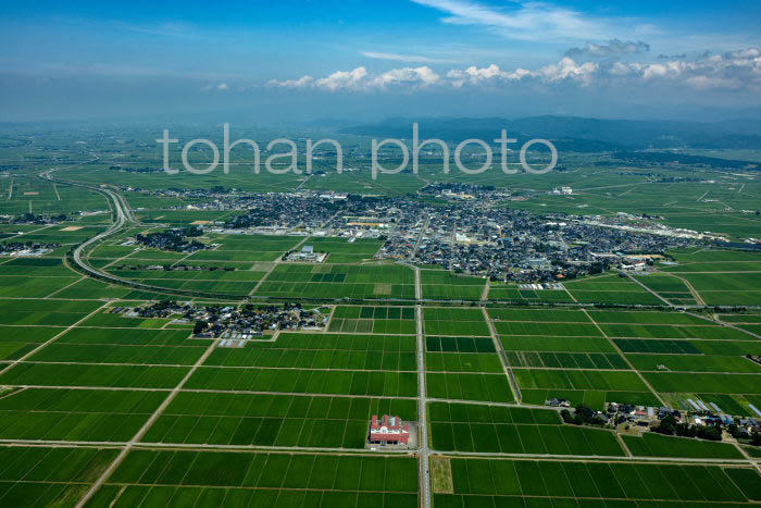 庄内平野(中央は庄内町の町並みと鳥海山方面)(2023728)