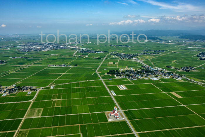 庄内平野(廻館地区周辺より酒田方面)(2023728)