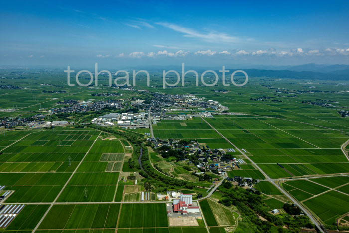 庄内平野(廻館地区周辺より酒田方面)(2023728)